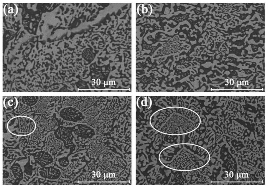 1698202793823309.png 1698202793823309.png