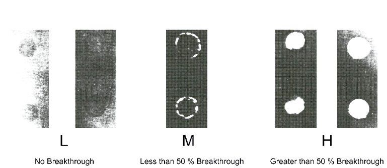 1699427437925547.png 圖片1.png