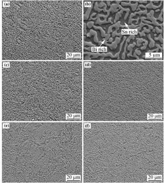 1712899219323915.jpg 1712899219323915.jpg