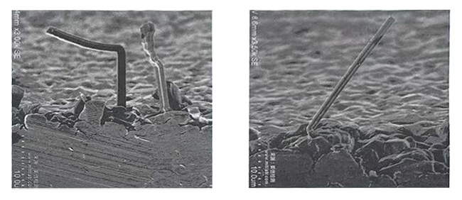 1741315096337322.jpg 1741315096337322.jpg