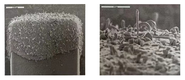 1741315207401638.jpg 1741315207401638.jpg